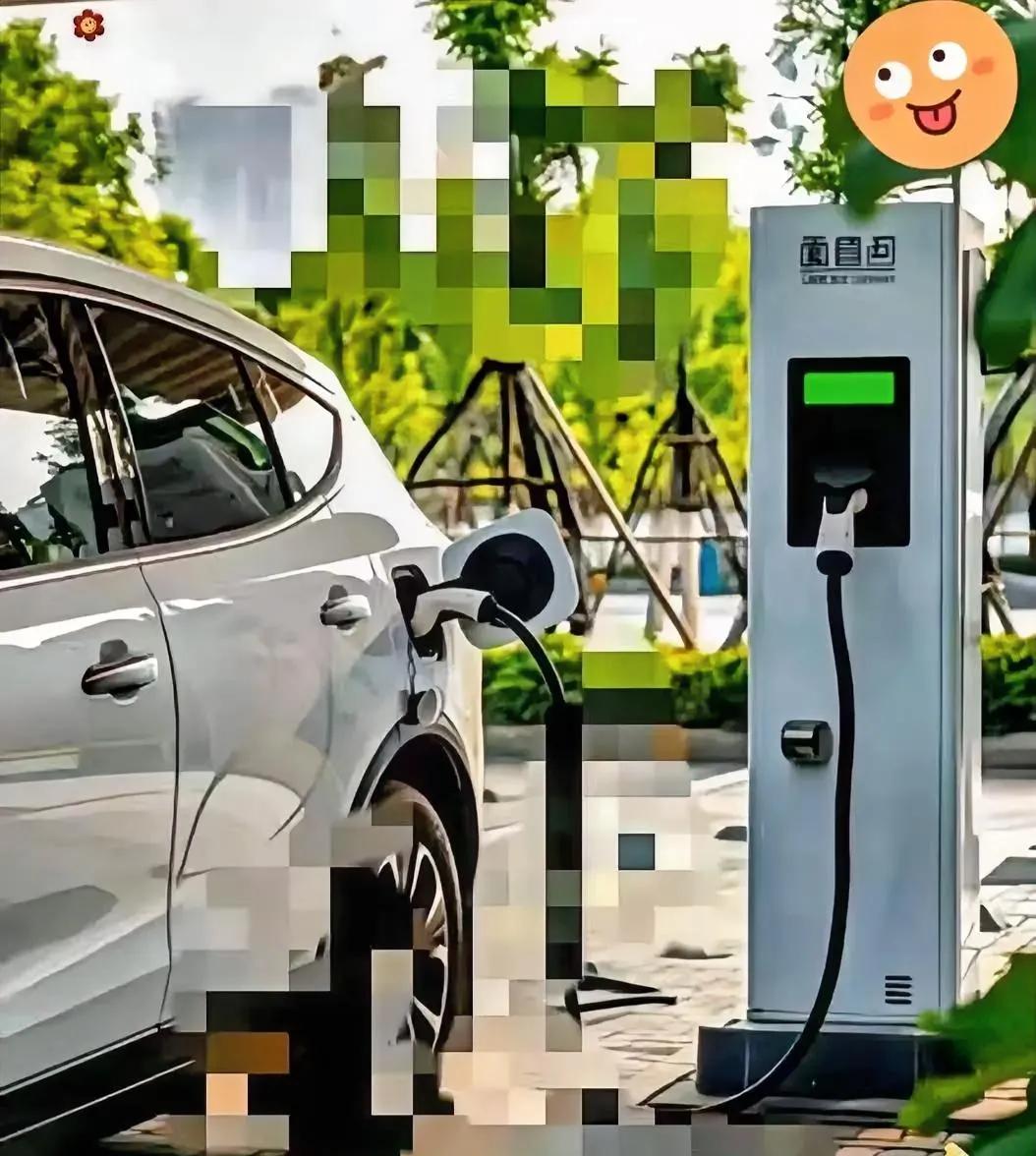 2026年3月1日起，国家对党政机关、事业单位、国企等公共机构充电桩配建与开放实