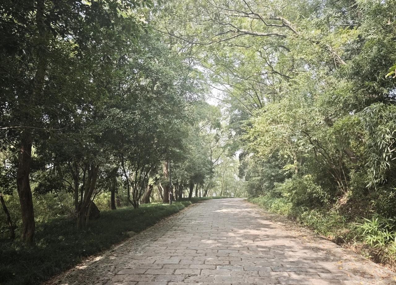 周末玉皇山舒适充电路线
免费路线：
清修苑-玉皇山-七星厅-紫来洞-老玉皇宫-八