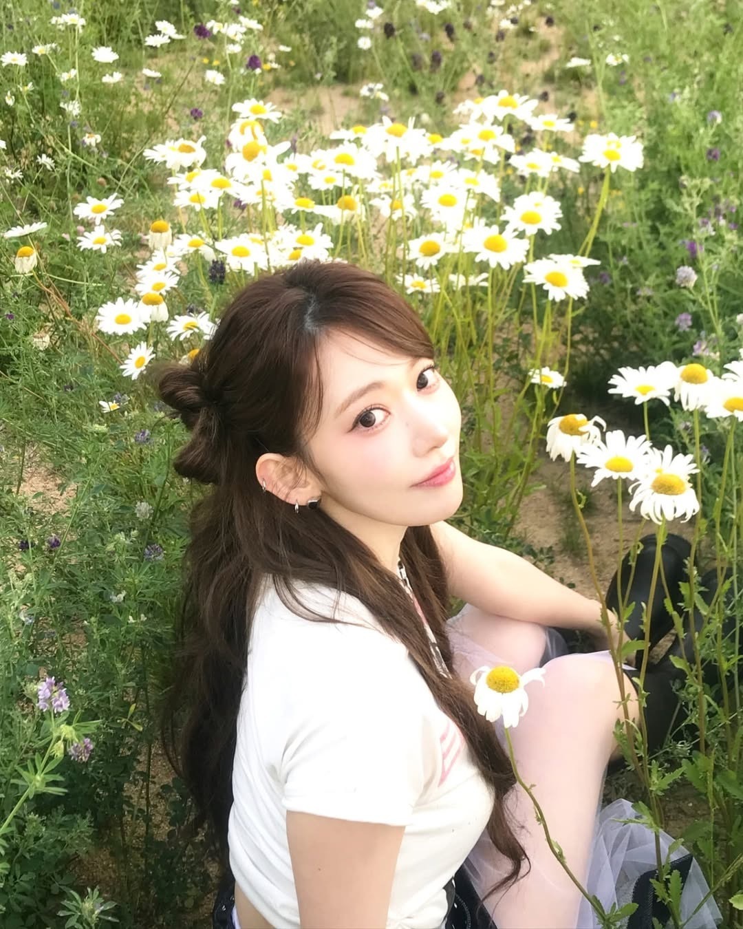 Sakura ​​​