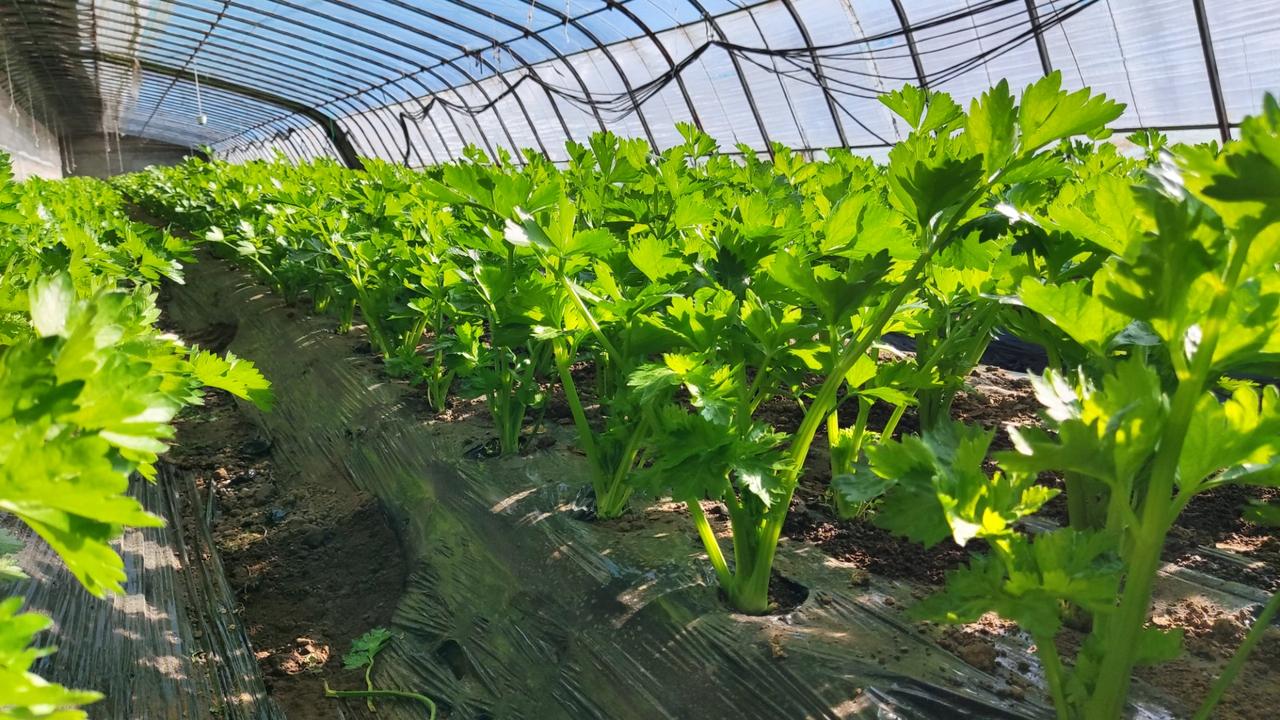 有光就有希望分享你随手拍的风景