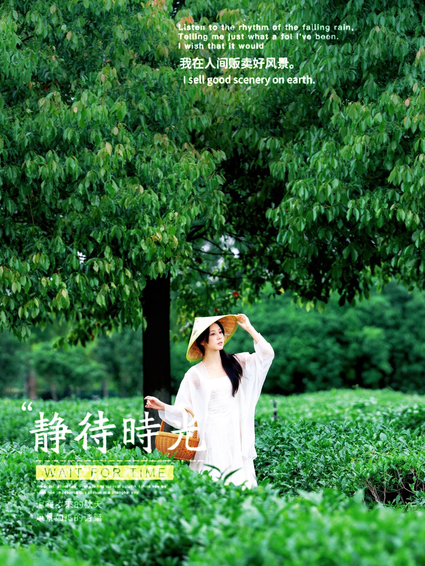 千万别眨眼，这个景点可以给到夯  谁懂啊！武汉黄陂藏了个现实版宋韵茶园...