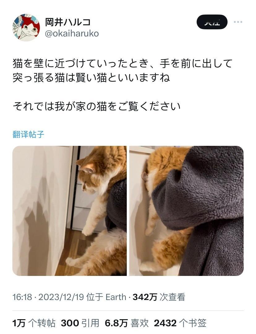 据说接近墙壁的时间会伸手抵住墙的猫比拟聪慧，因而日本网友拿自家的猫试了试....