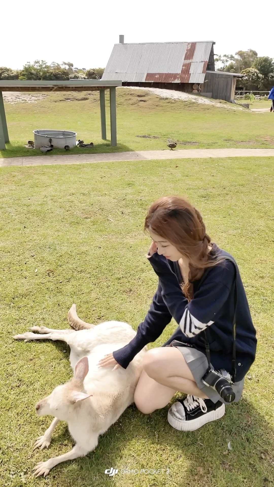 🇦🇺澳洲｜有没有澳洲留子想做推广？！