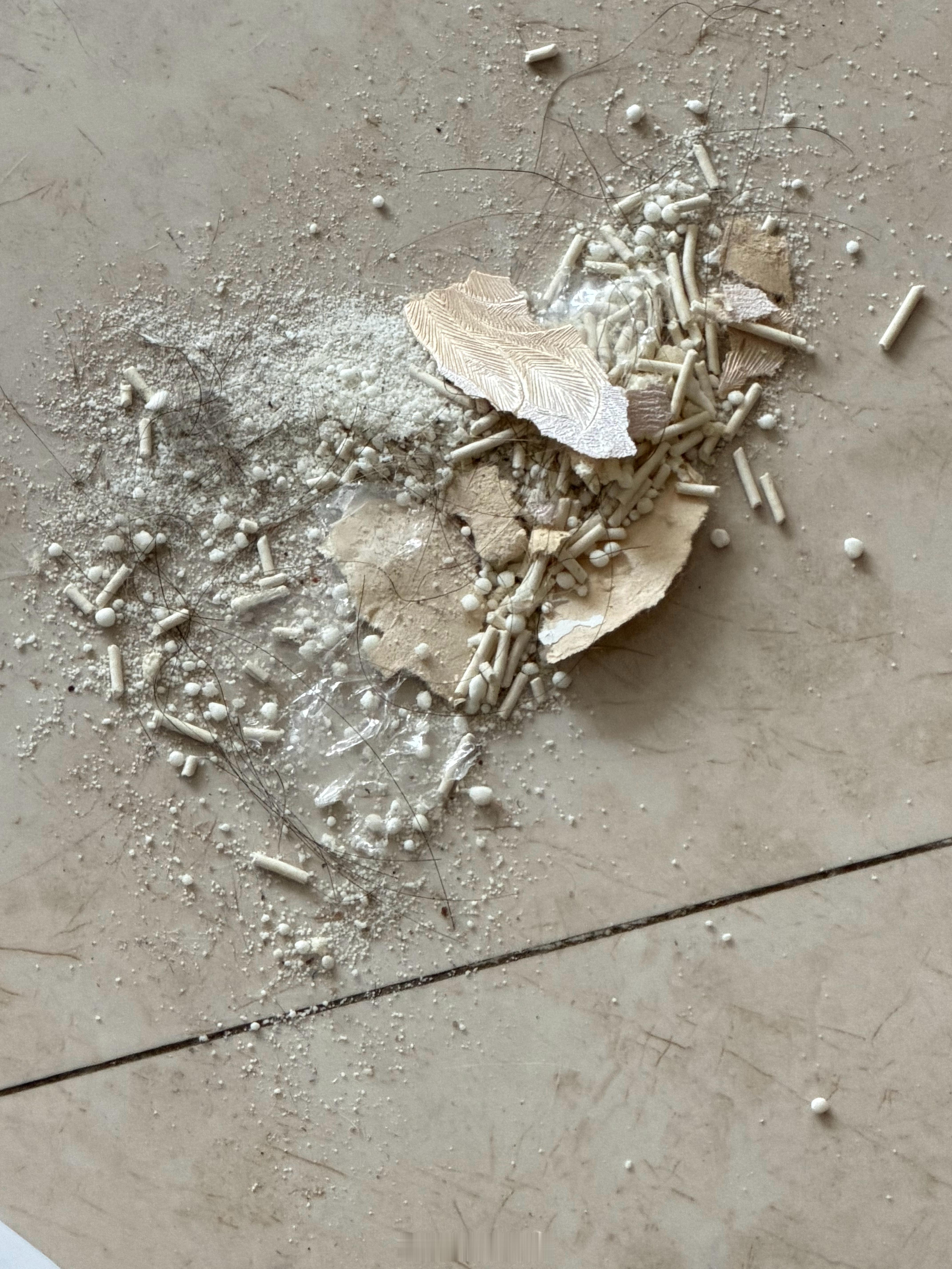 墙纸是扣下来的，猫砂是刨出来的，我的头发是一颗一颗掉的（每周拖一次地 每两三天扫