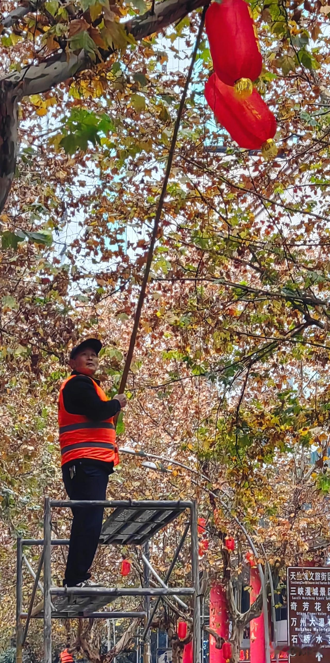 重庆市最美街道万州区白岩路两边人行道，梧桐树掛满了迎春红灯笼，红红火火的一条街，