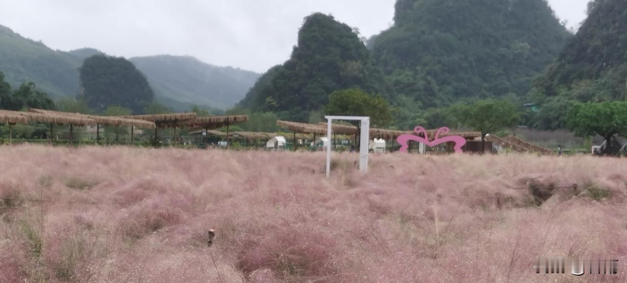 两广的喀斯特地貌很别致，温婉秀气的江南山水，冬季里依然风采依旧。