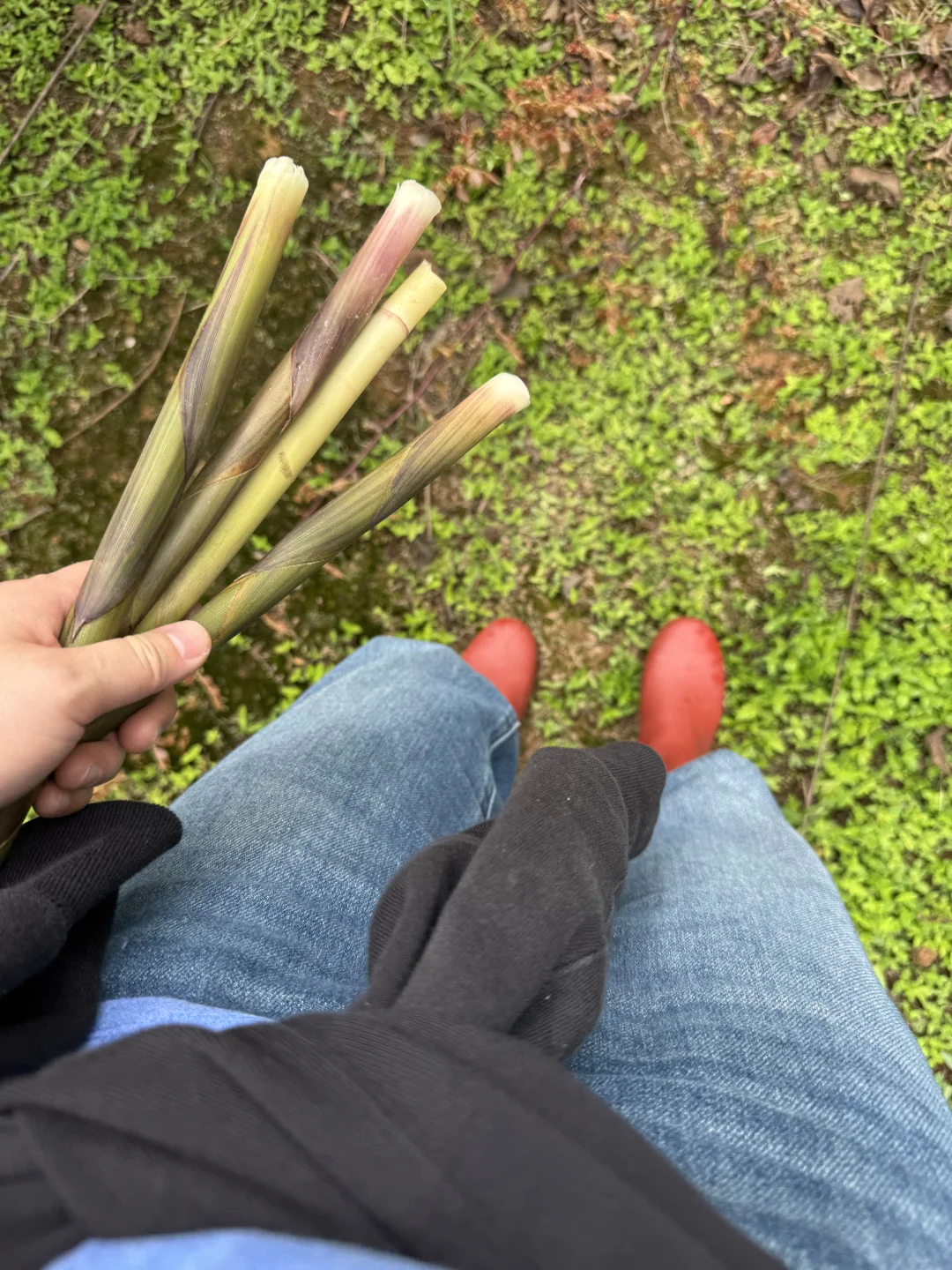 i人只要不与人打交道就自在