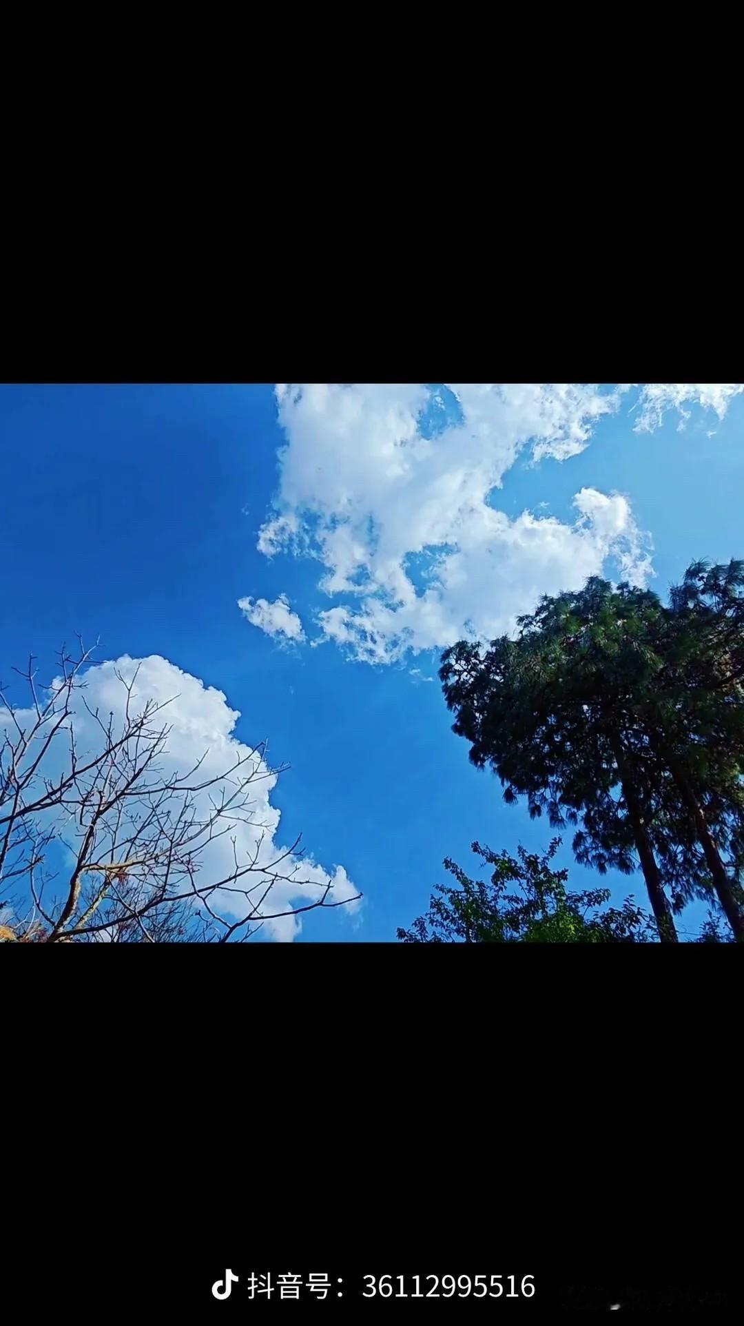 故乡的风

你温柔的拽着我的衣角
是那样的亲昵
那样的动情
原来你就是来自故乡的