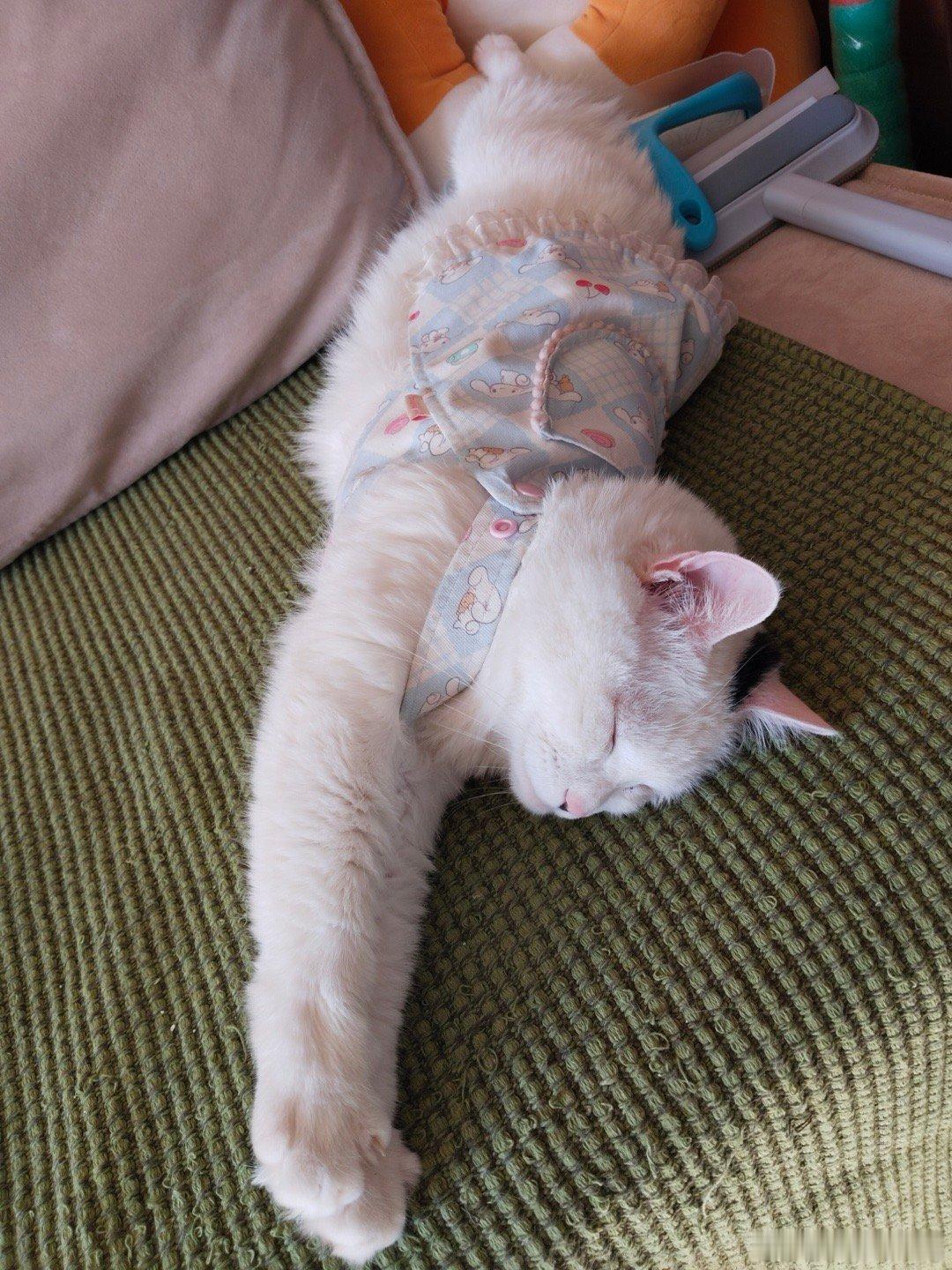 信任任何一个人的自性，绝不你人任何人的人性。 