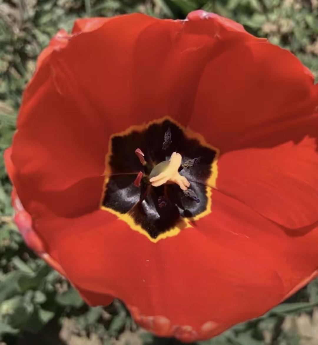 人年纪大了，嘴上说着不怕，真到自己身上，谁都不想走。

我爸84岁那年走的，当时