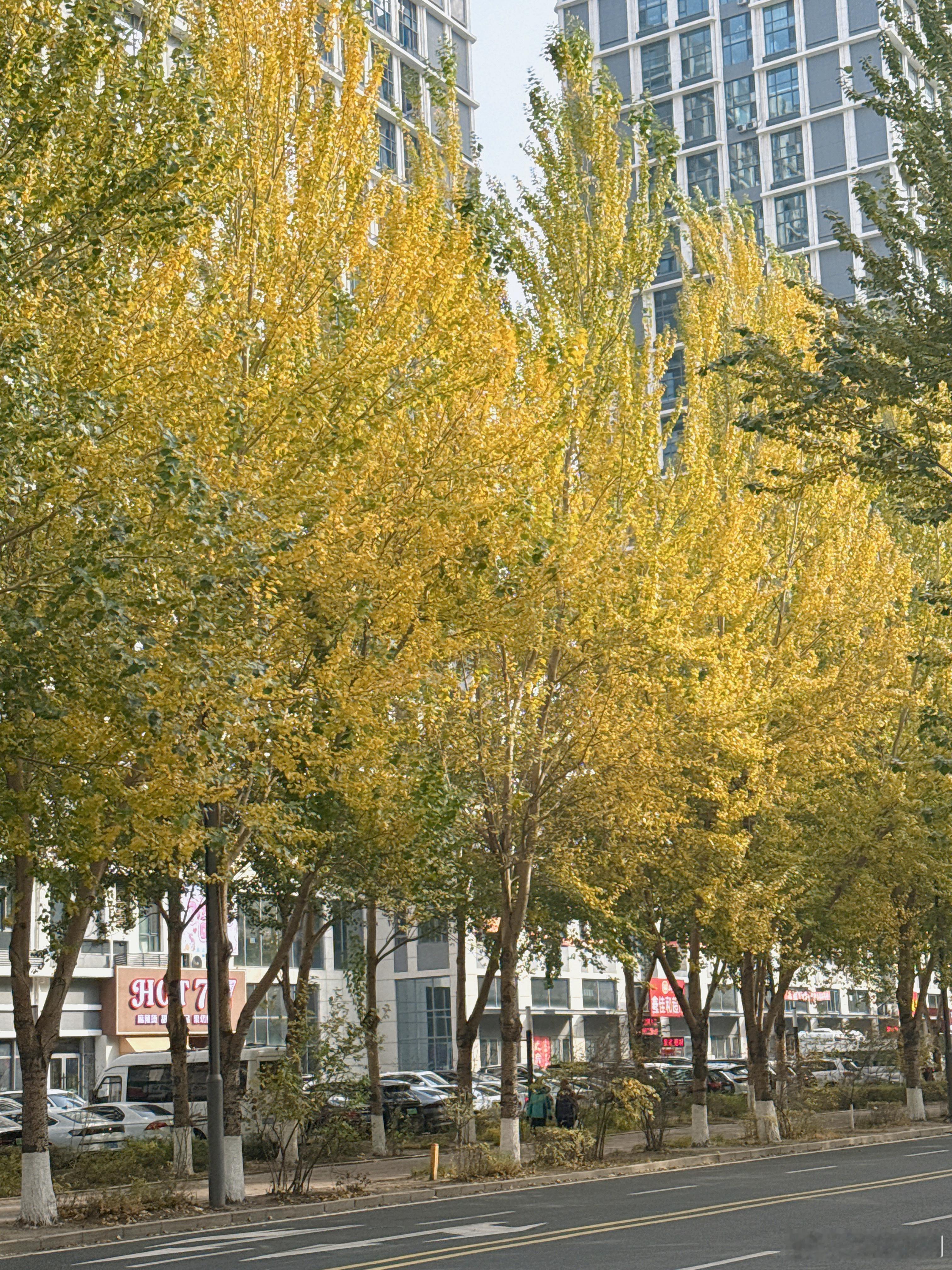 沈坤每日一思考：有时候我在想，大概是因为我们有太丰厚的历史和文化遗产了，导致我们