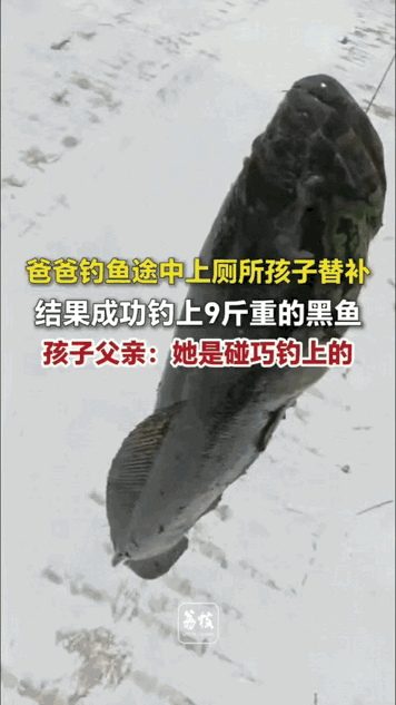 笑不活了！四川达州，一男子带女儿去钓鱼，钓半天都空军，内急憋不住去上厕所，让女儿