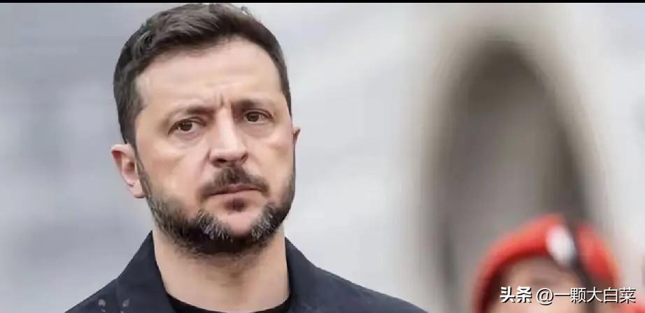泽连斯基3月29日放大招，乌克兰彻底换赛道了！

谁也没想到，3月29日这天，泽