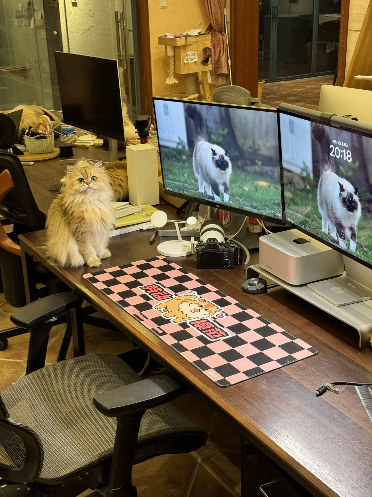 最喜欢哪一个🥰