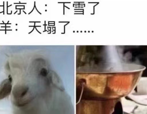 诶？杨博文怎么说 