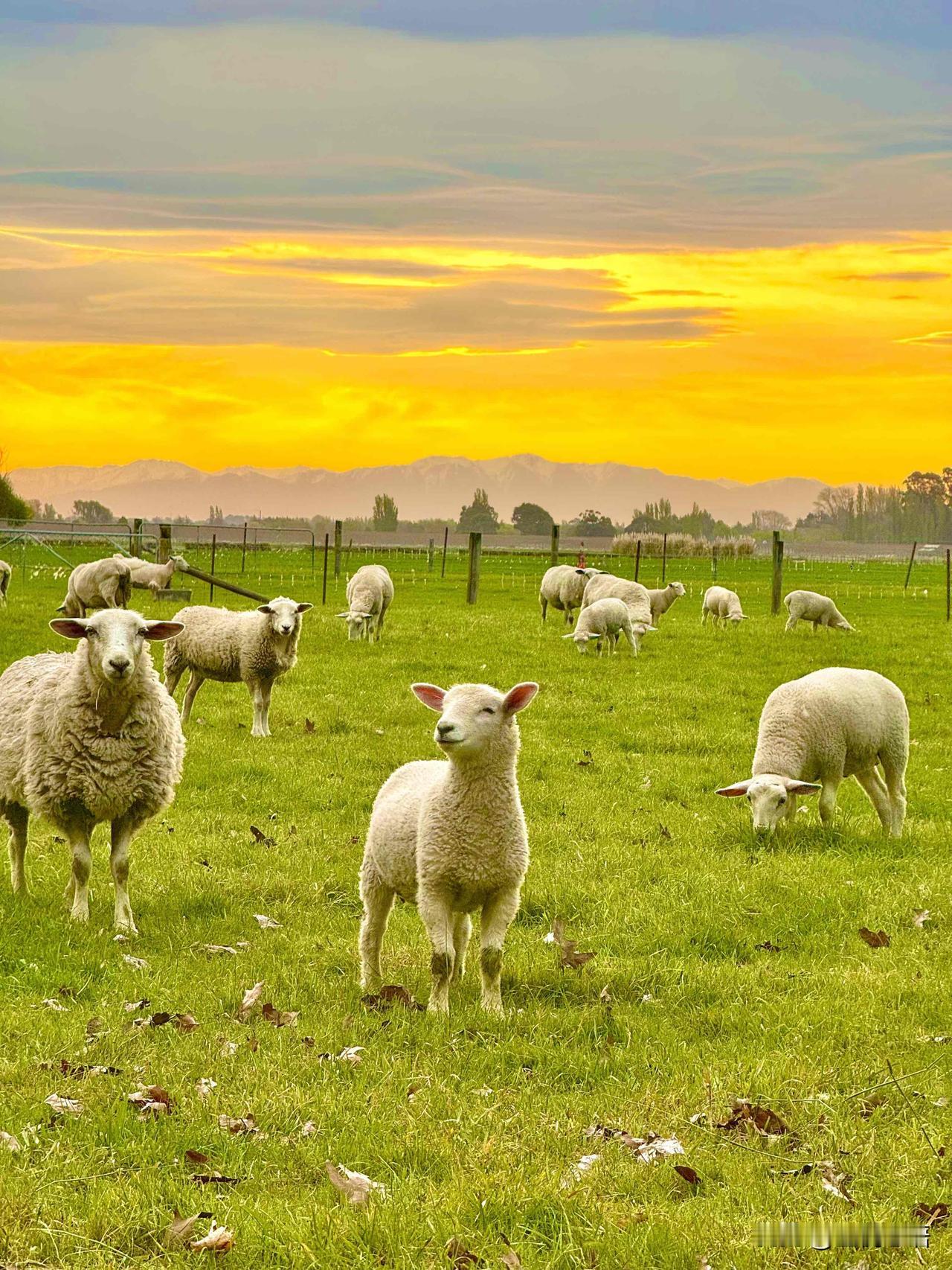 原来人生的光，
都藏在那些细碎瞬间里✨
告别大厂的快节奏，
我把日子过成了自己想