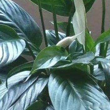 有时被人记起是一种幸福，偶尔的小聚是平淡琐碎的生活中润物细无声的一杯红酒，曼妙醇