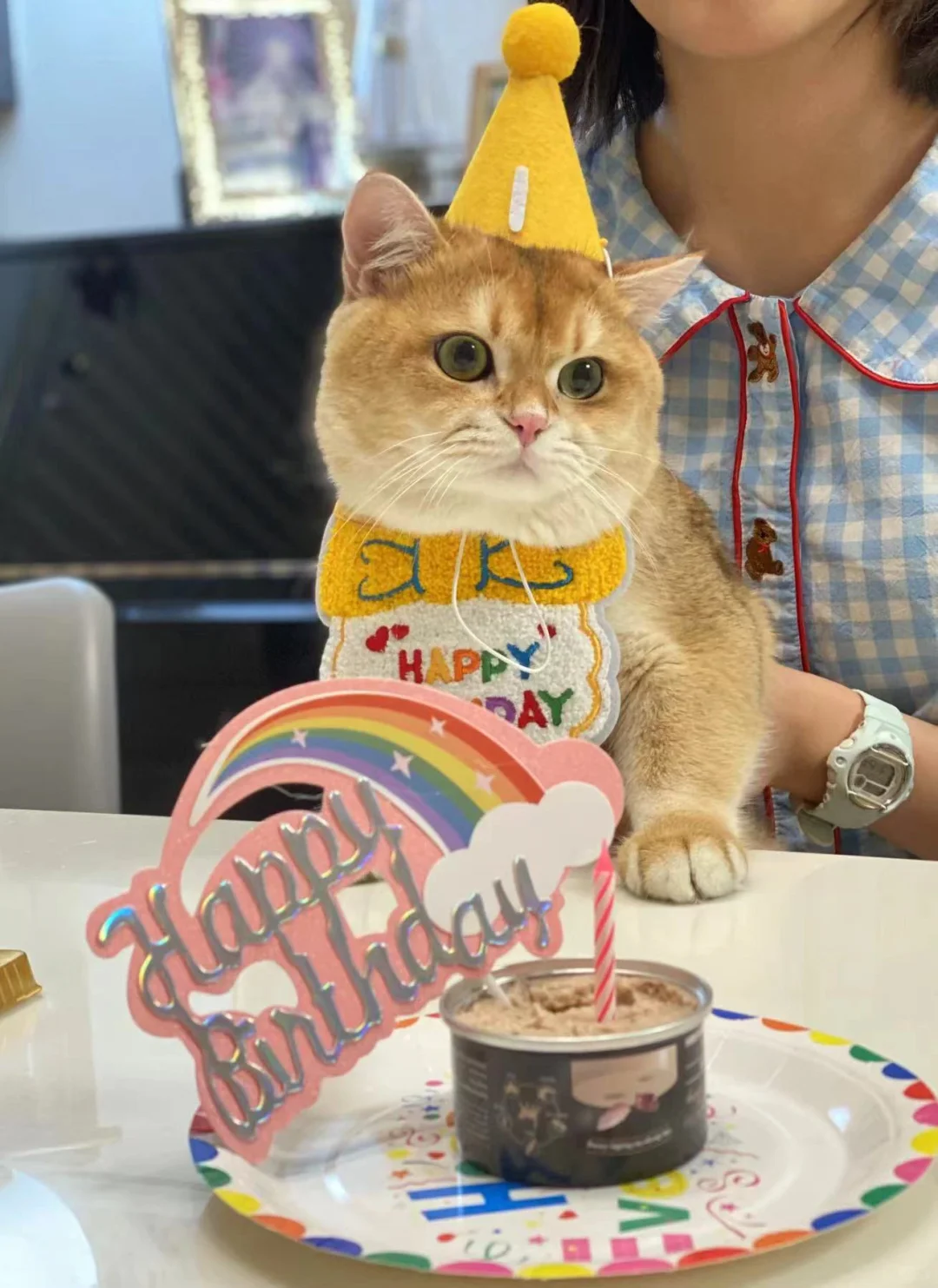 🇭🇰貓貓家長返圖💛生日快樂～🎂