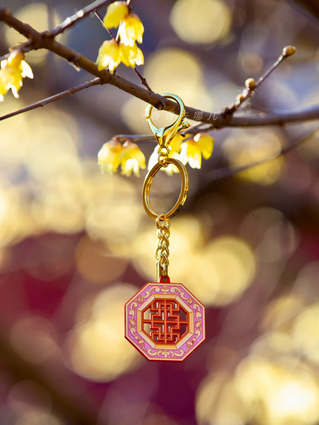 以为卧佛寺的腊梅已是天花板，直到我去了这