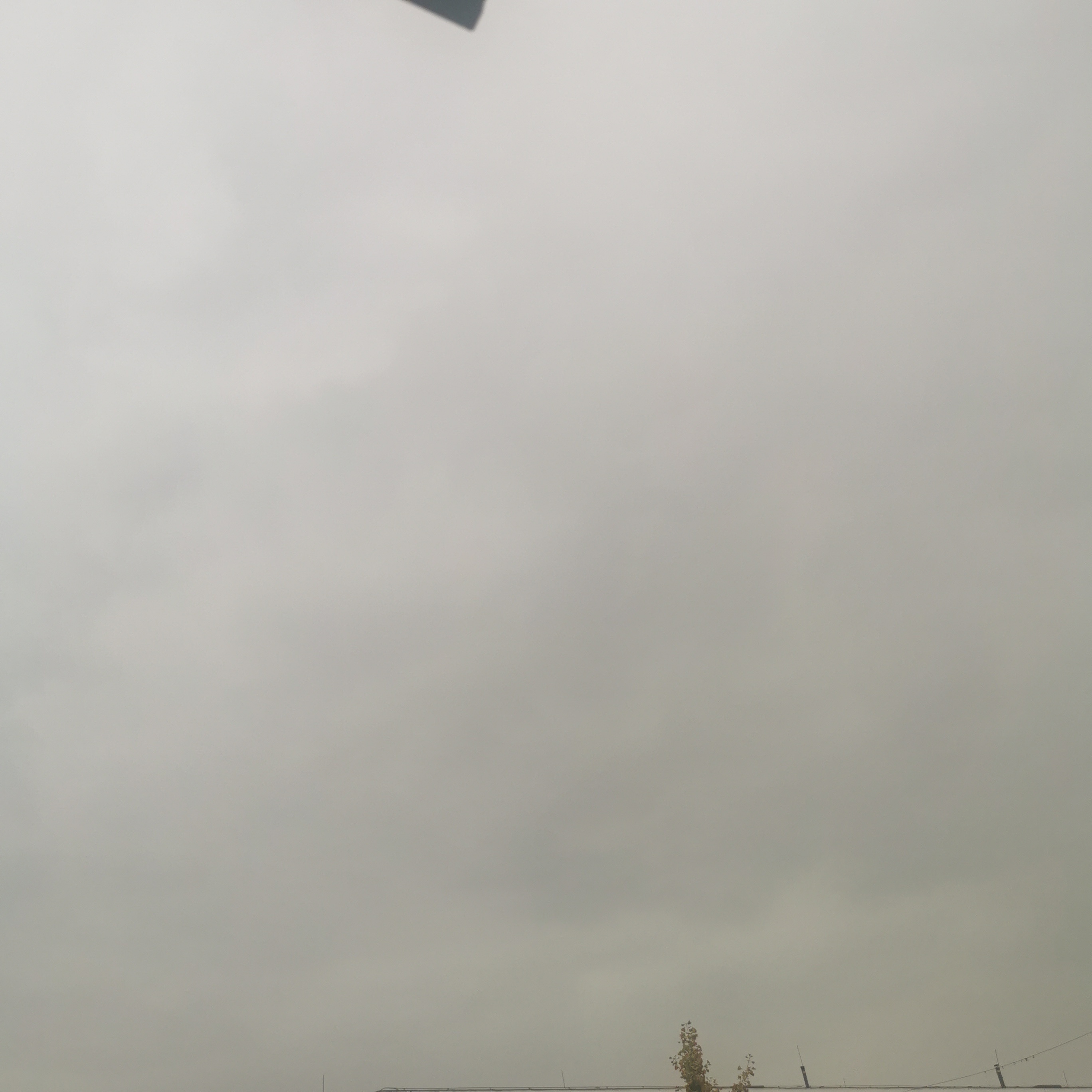秋天又打雷了，马上要下雨了。 ​​​