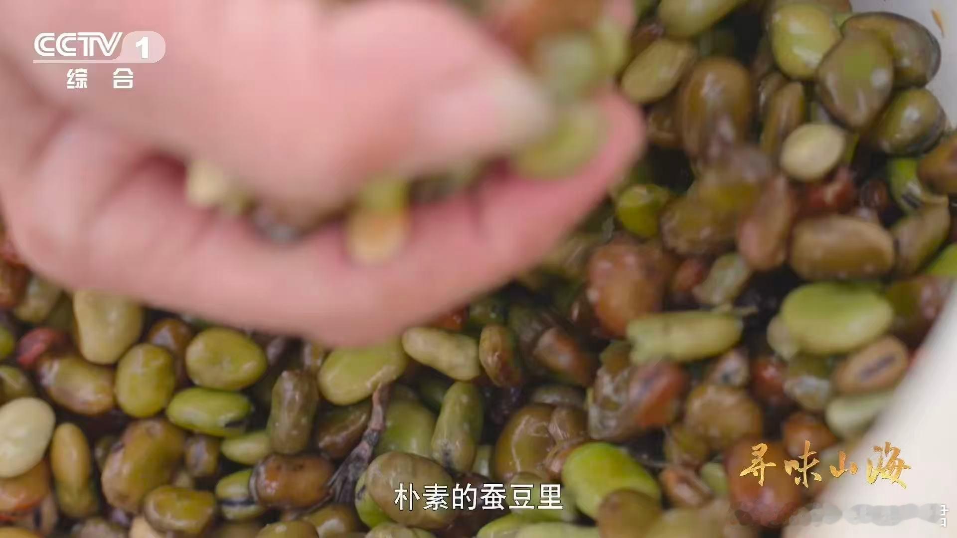 这种草鱼吃着好脆吃120天蚕豆后鱼变脆了  谁能想到，吃120天蚕豆能让鱼肉变脆