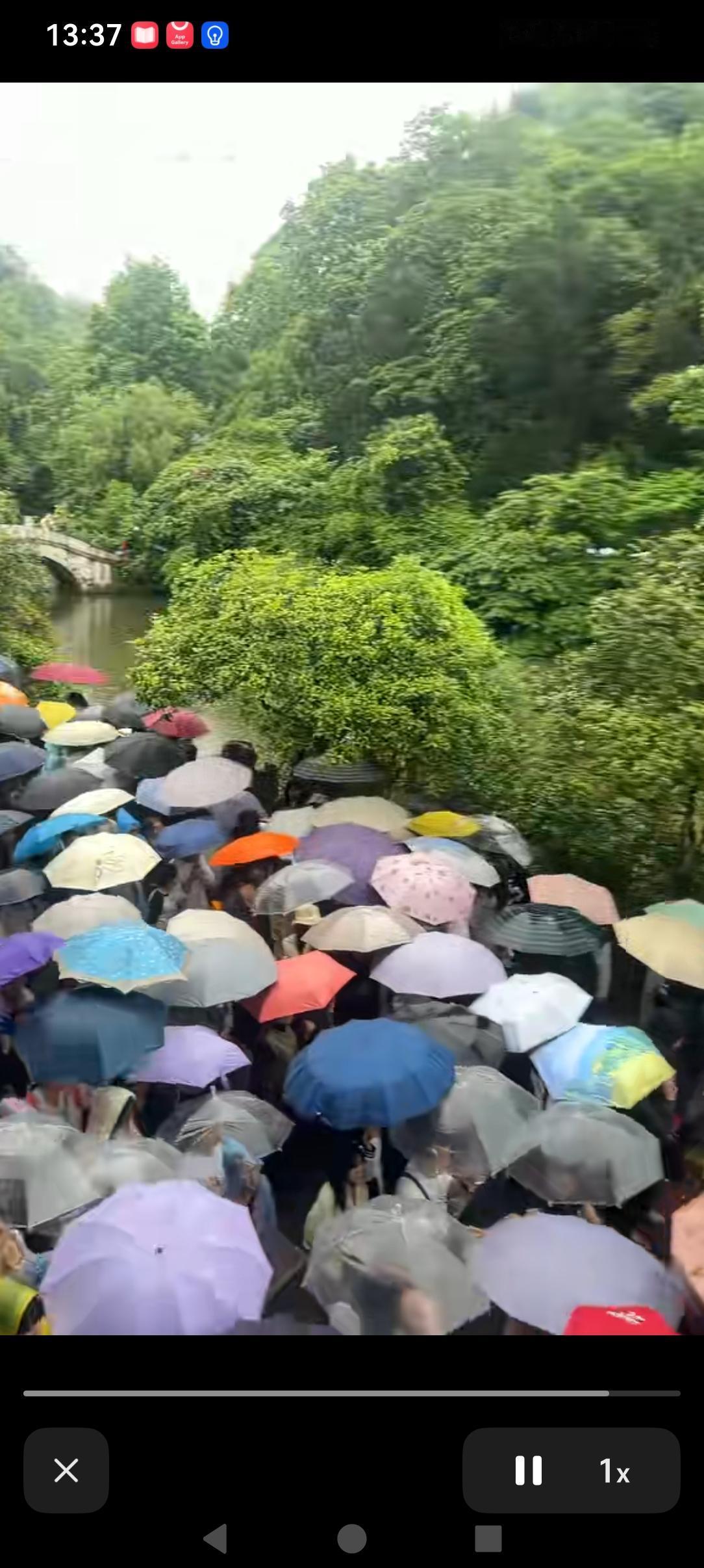 这是哪里啊！游客们太热情了，下雨也档不住出去游玩的脚步！
