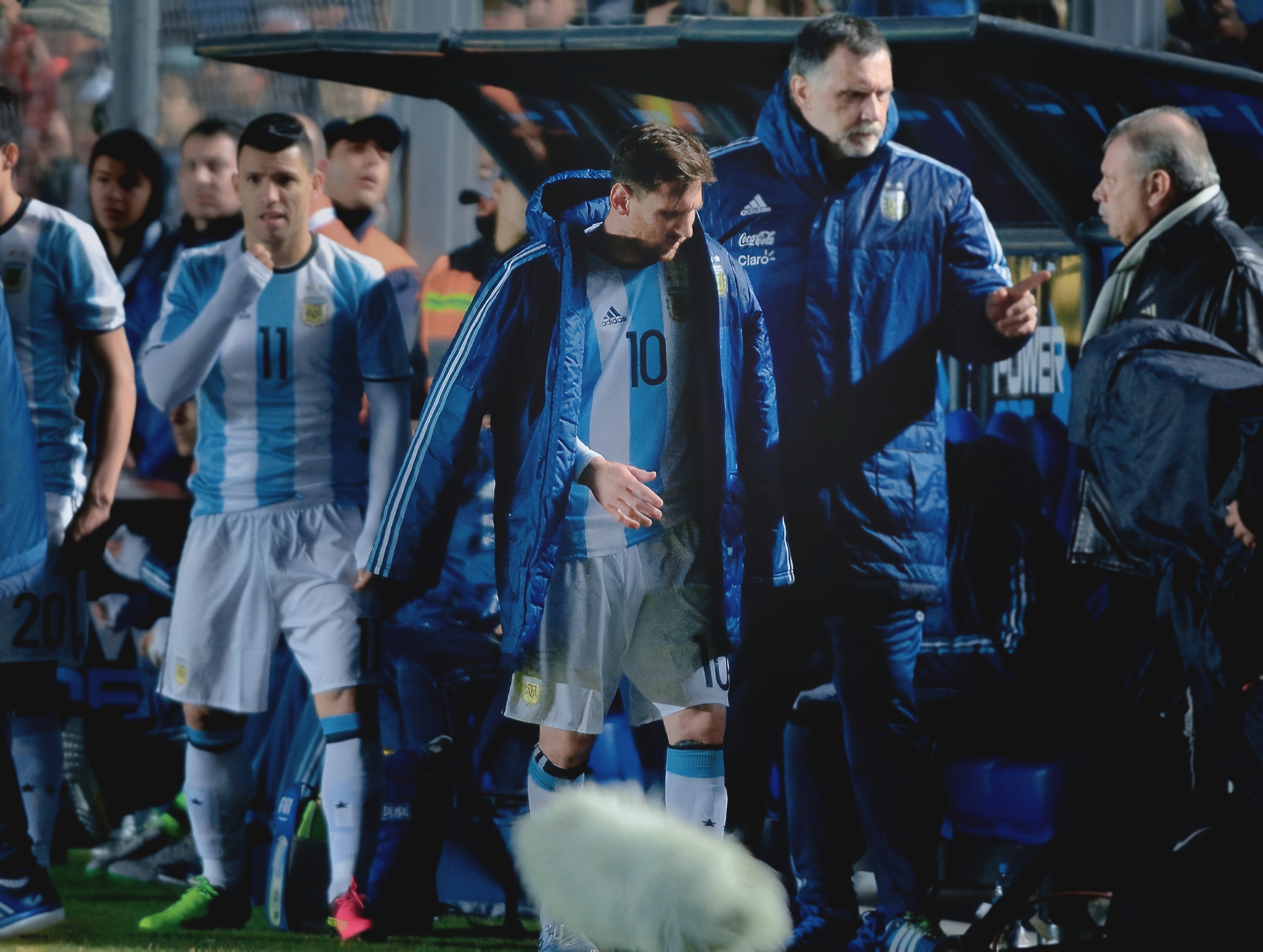 人类各个时期的悲欢并不相同 比如我现在看到这组只觉得坤痛 