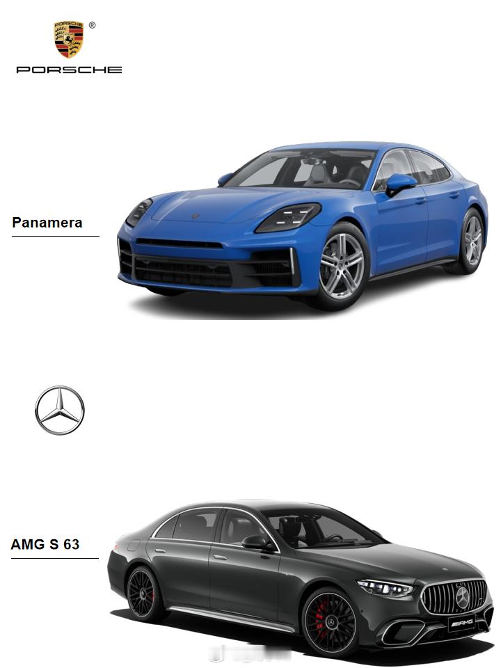 奔驰AMG S 63 L E PERFORMANCE保时捷Panamera 【车