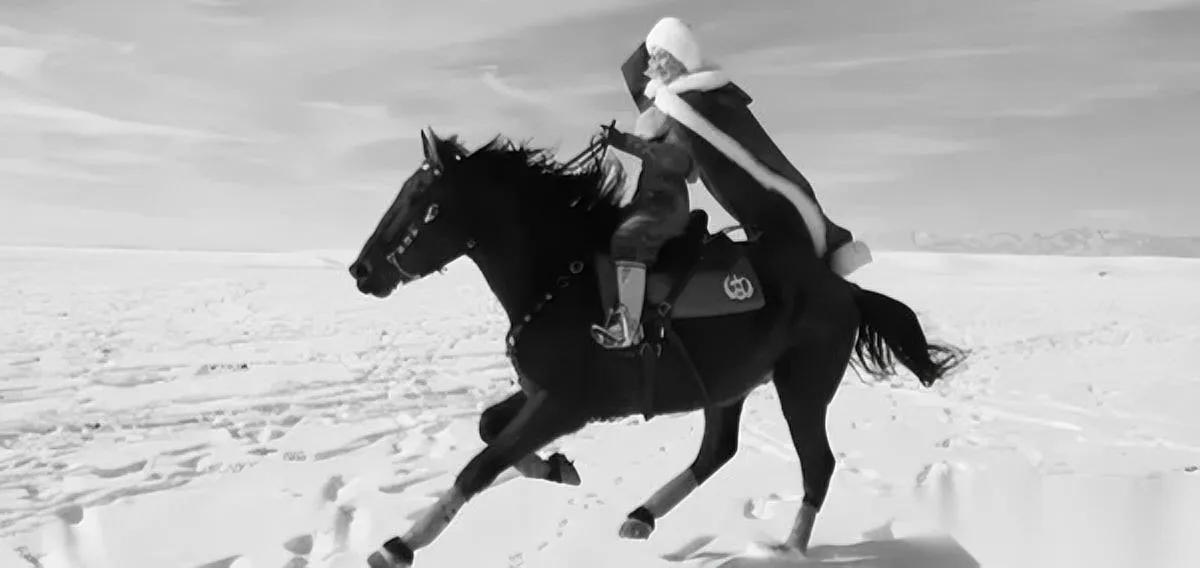 贺娇龙坠马？先别急着骂！

这事得问新疆马场老骑手。他掐灭烟头：“马背不是健身房