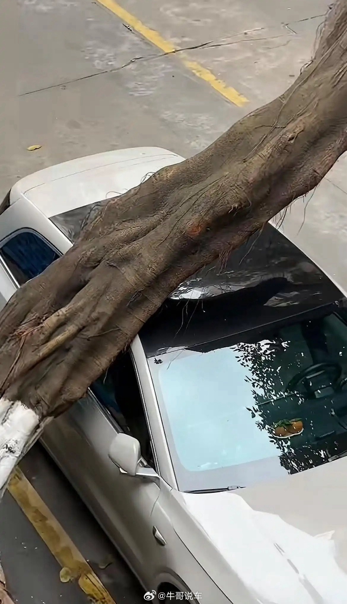 这么大个事，理想L6硬抗大树，怎么也没见理想拿出来宣传一下理想汽车