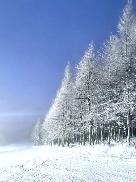 为啥都来万龙，不去富龙云顶呢？