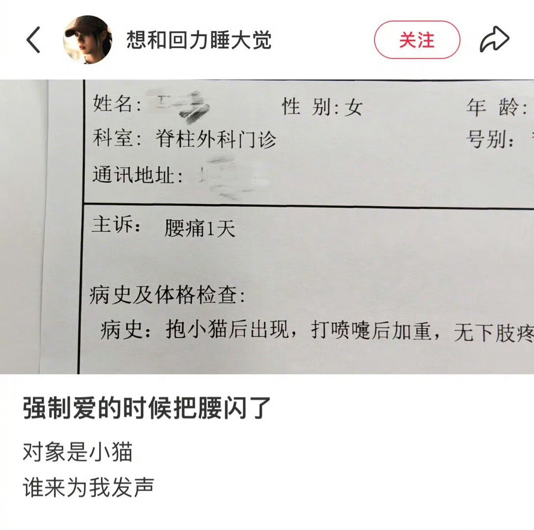 抱小猫闪到腰 医生好严谨 ​​​