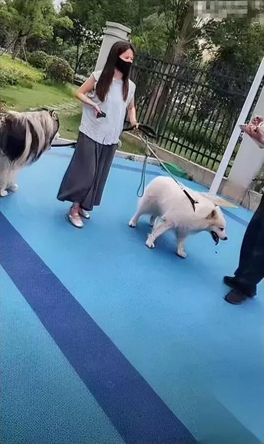 遛狗咬了娃

她张嘴就说

当场把全小区人都整怒了。

你猜她蹦出来啥话？“我都