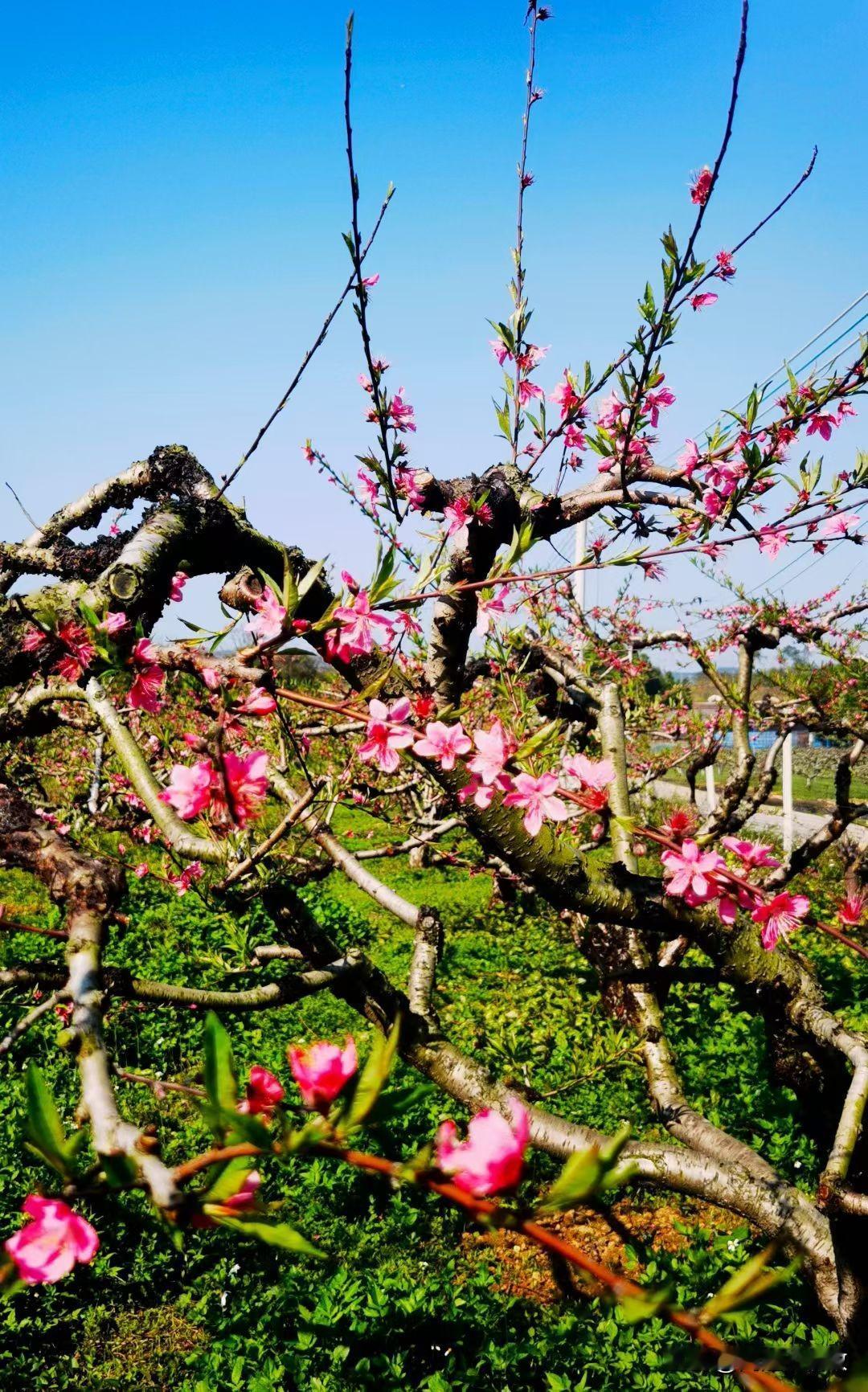 广东省阳西县沙扒镇月亮湾过冬记（四十五）结束篇

为期3个月18天的过冬生活今天