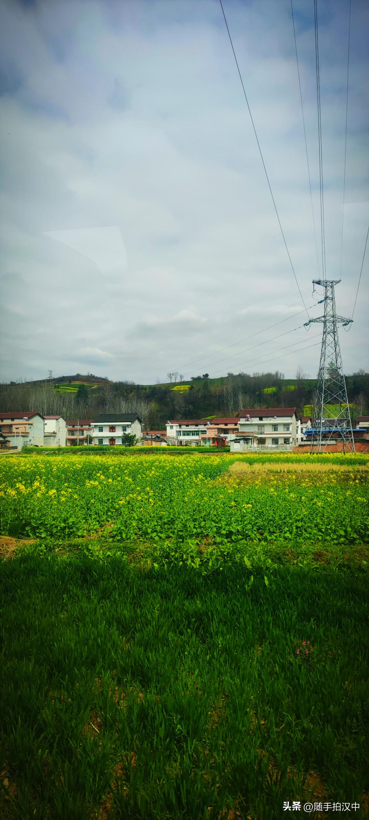 一片金黄的油菜花田，背后是错落的白墙红瓦，充分表示着，当下是何等优美。当然，抒发