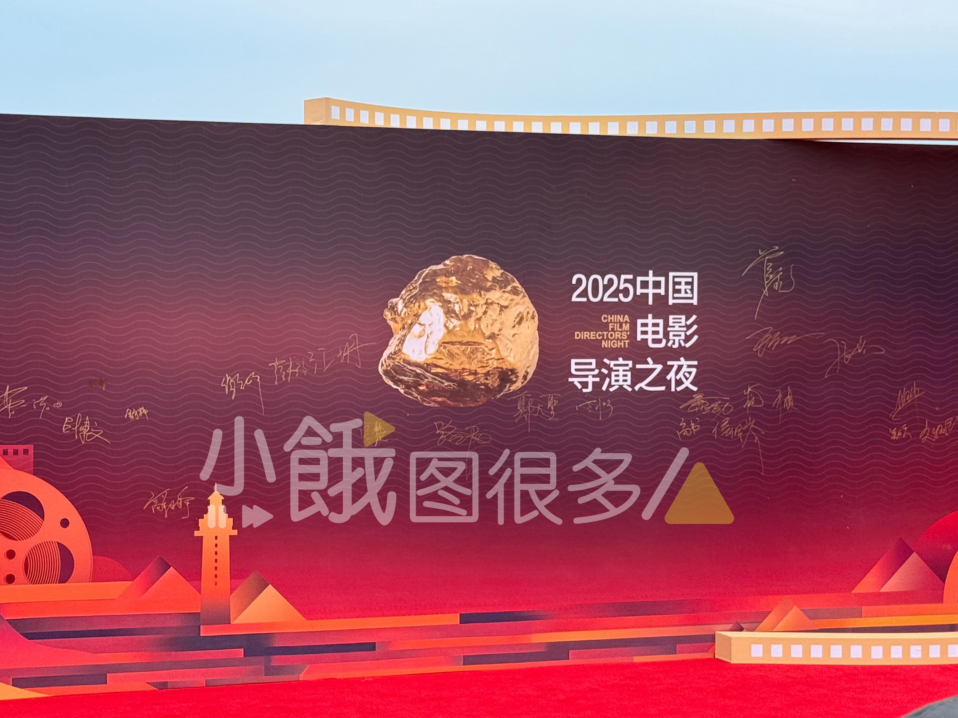 中国电影导演之夜 这个阴天很适合拍照[酷] ​​​