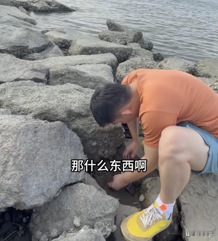 老谢带孩子们去深圳湾赶海抓螃蟹，老谢透露谢浩男已经回学校了。
今天老谢更新了视频