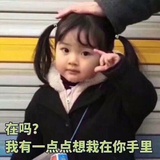 土林品品科技