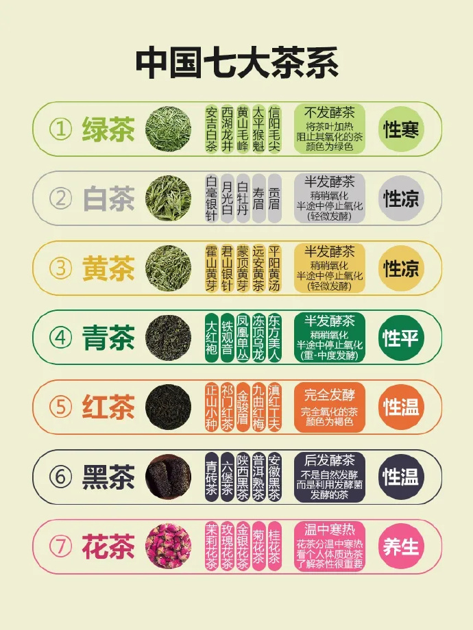 了解中国七大茶系 🍵想学茶的不要错过！ 