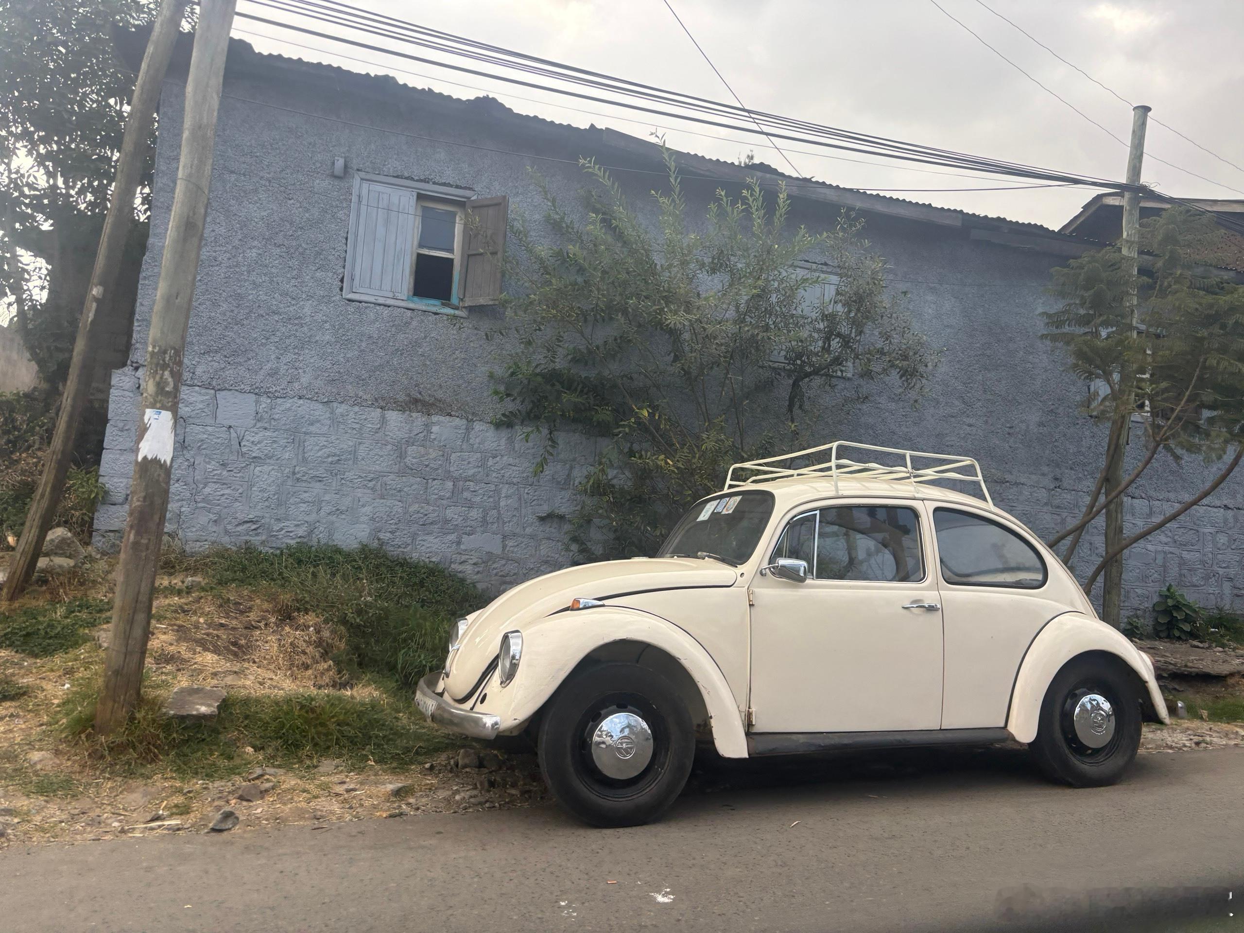 埃塞俄比亚历险记 10    在国外洗衣服我看这个香蕉跟国内的香蕉差别不大，但是