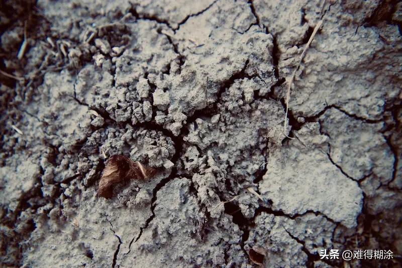 现在蔬菜没了小时候的味道，原因多多。一方面，土壤退化严重，全球40%土地退化，中