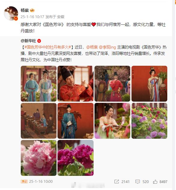 杨紫回应新华社点赞国色芳华   杨紫感文化力量等牡丹盛放  杨紫的回应，让《国色