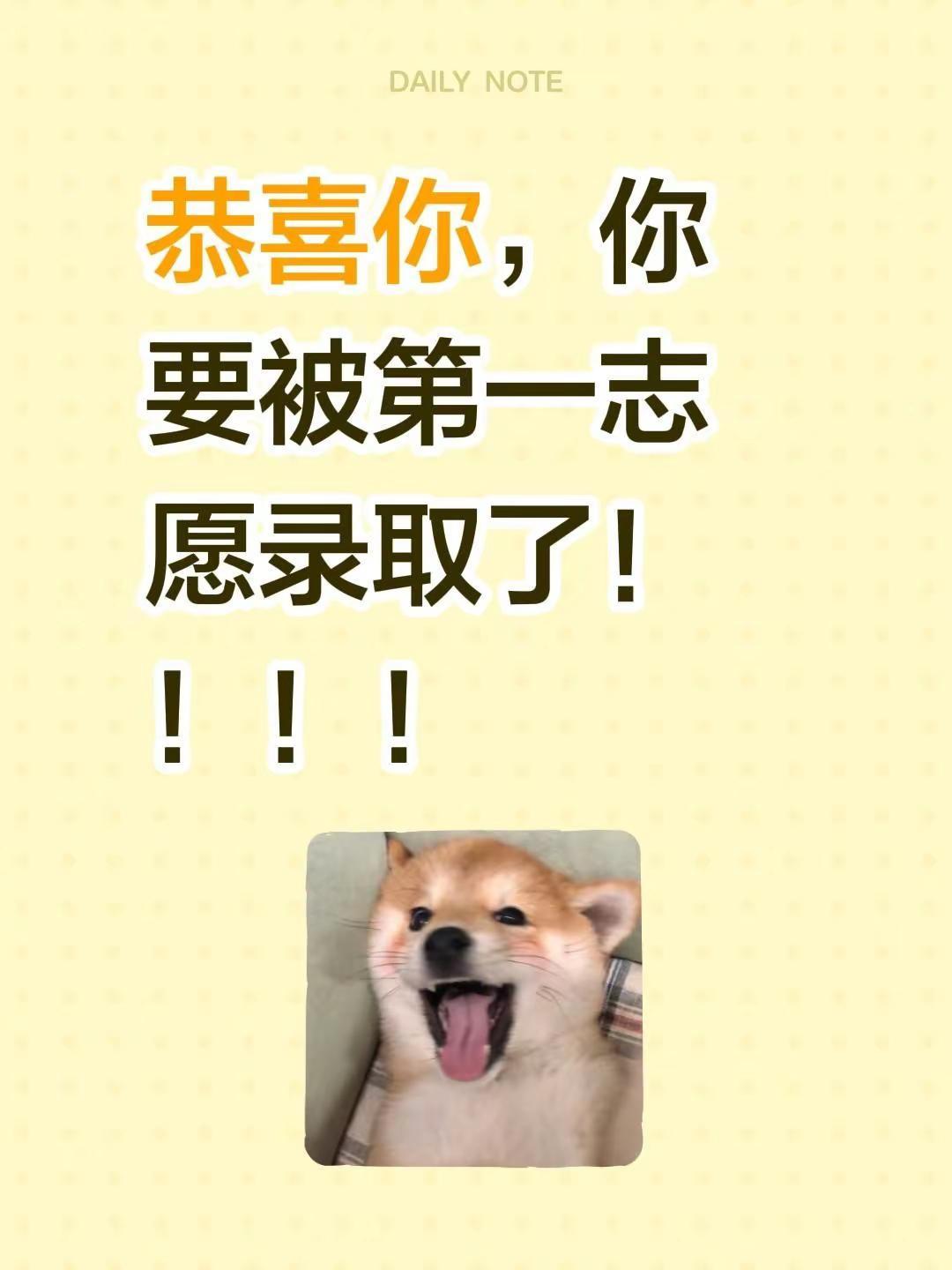 你要被第一志愿录取了！！！恭喜你，你要被第一志愿录取了！！！！录取结果查询 恭喜