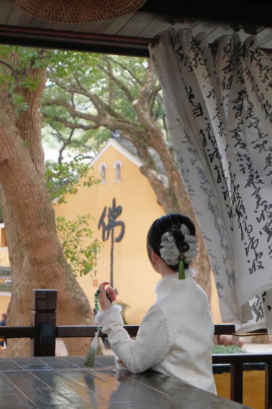 疗愈旅修｜📍普陀山观堂⭕i人的避世天堂