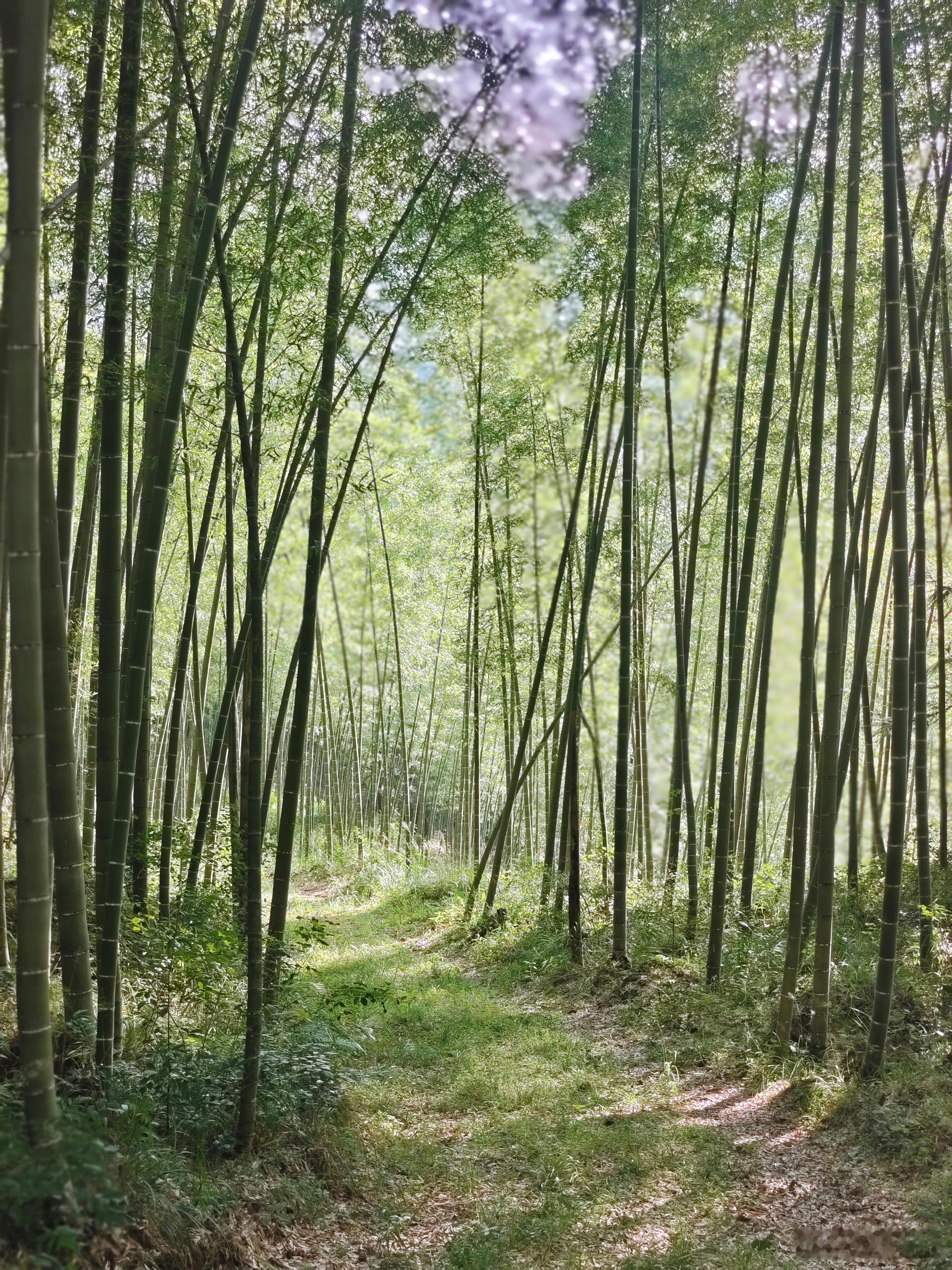人间一天山上一年  ​​​