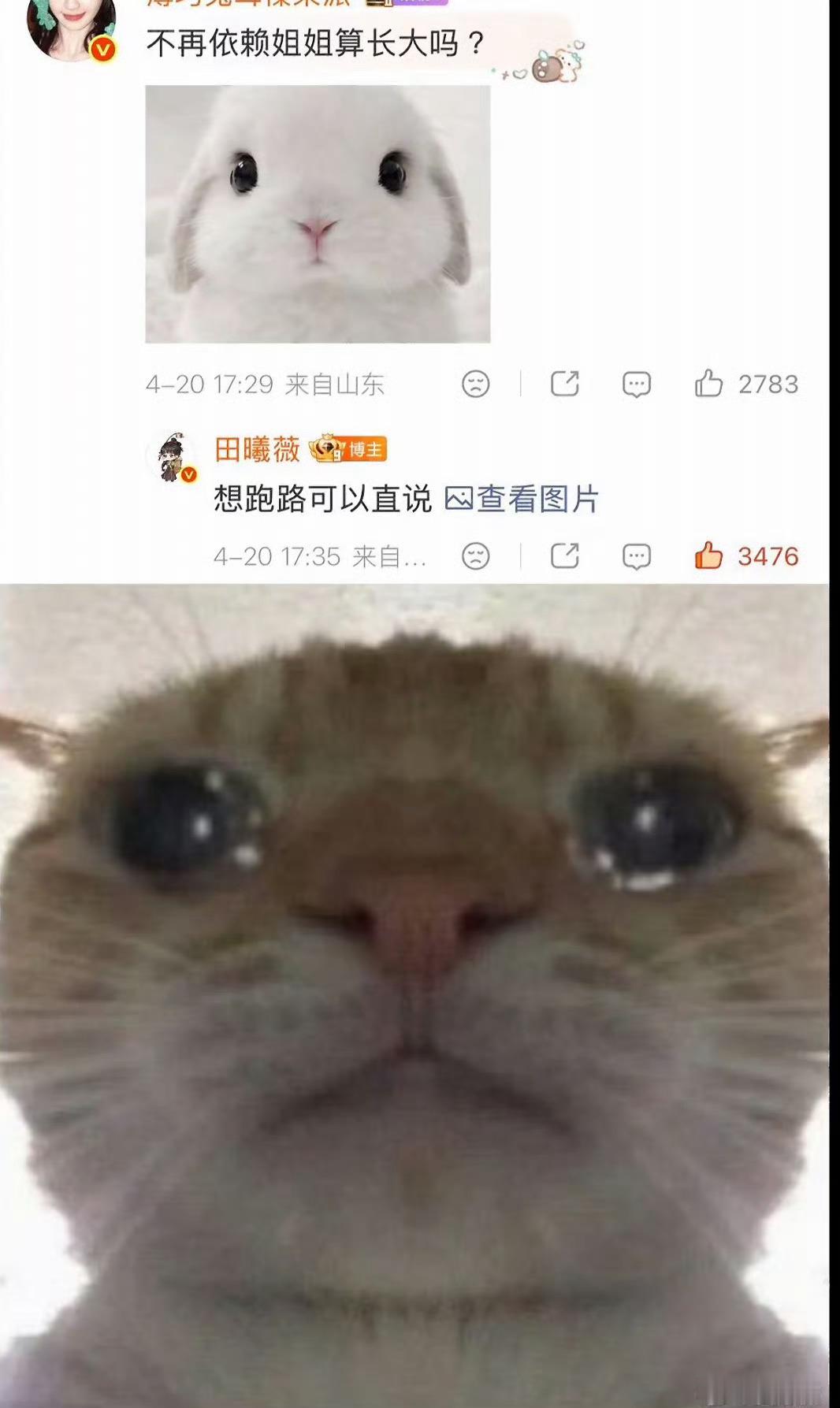 田曦薇 想跑路可以直说太可爱了吧