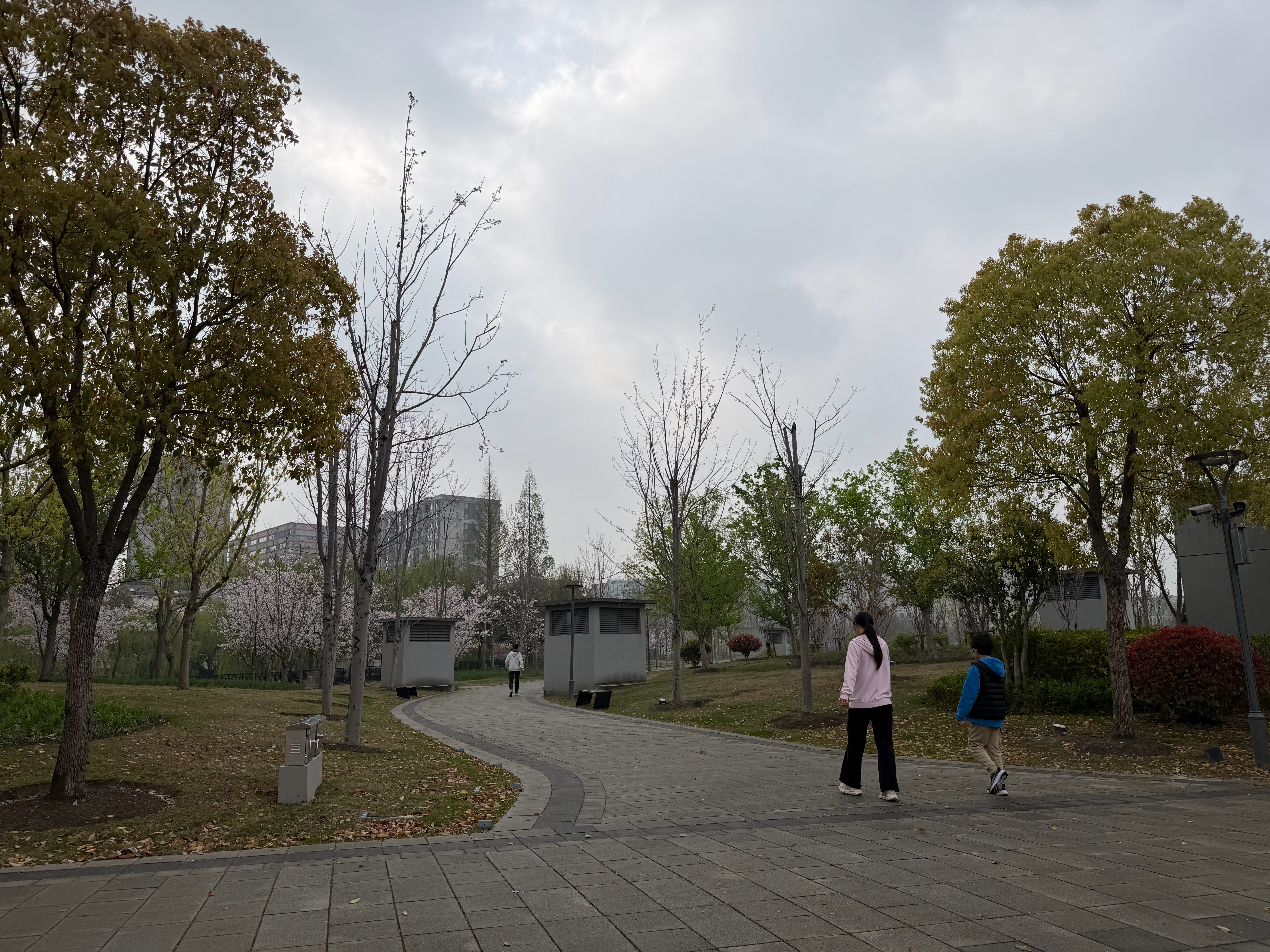 低密度社区有好处，就是公园人超级少上周马拉松比赛封了了，结果去的那社区公园全是人