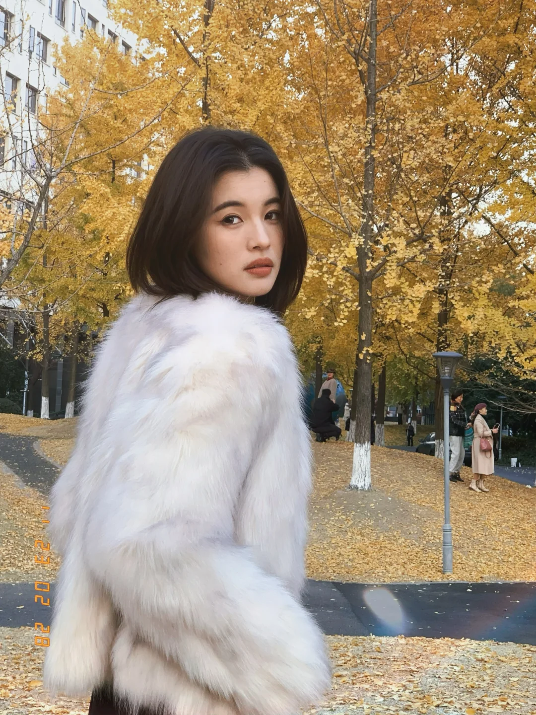 Autumn🧸°•ᴥ•银杏黄了🍂