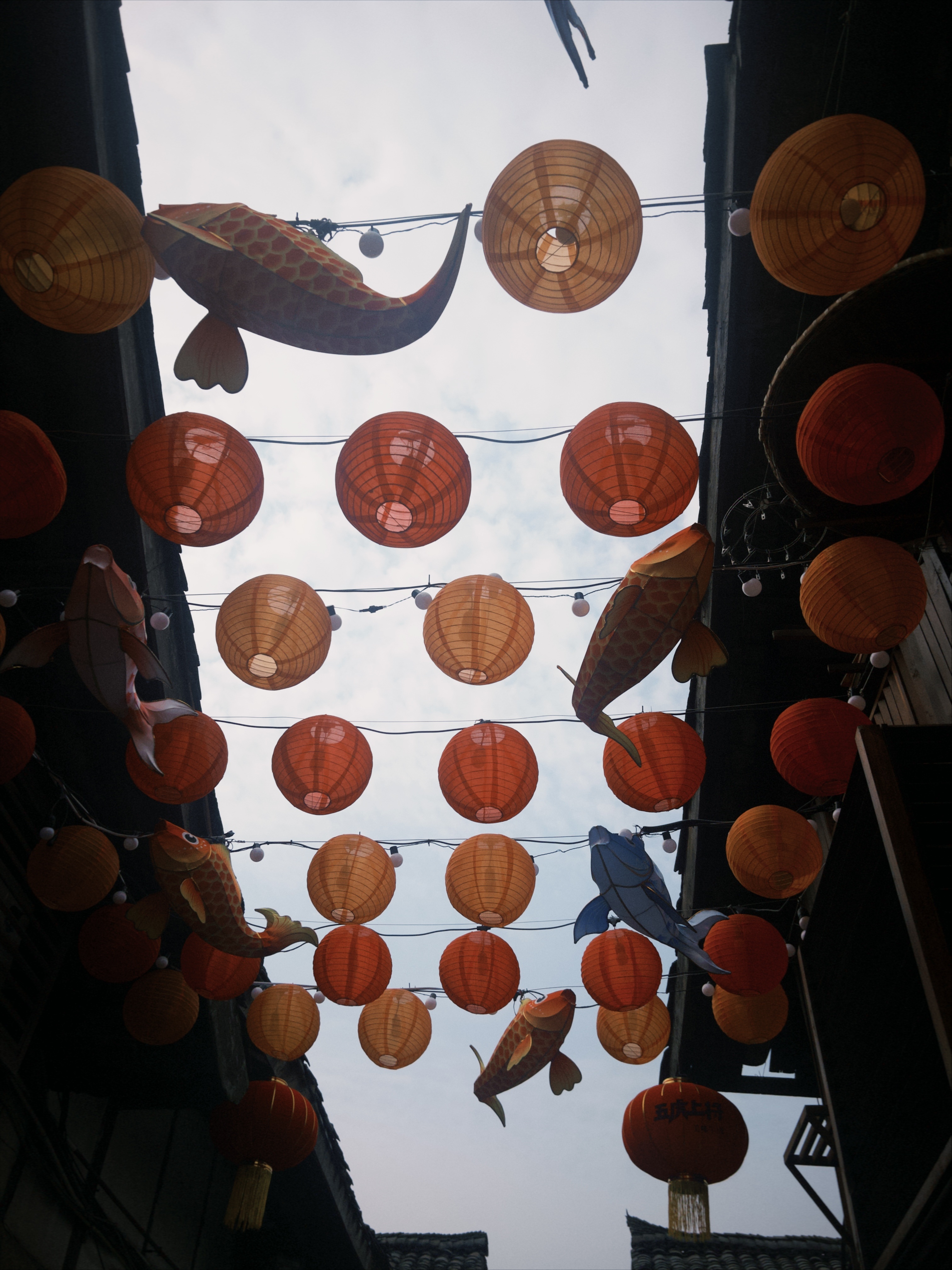 和豪弟出门吃了小火锅🍲我今天也翻车了牛肉掉在了我衣服上裤子上袖子上都是油我整个