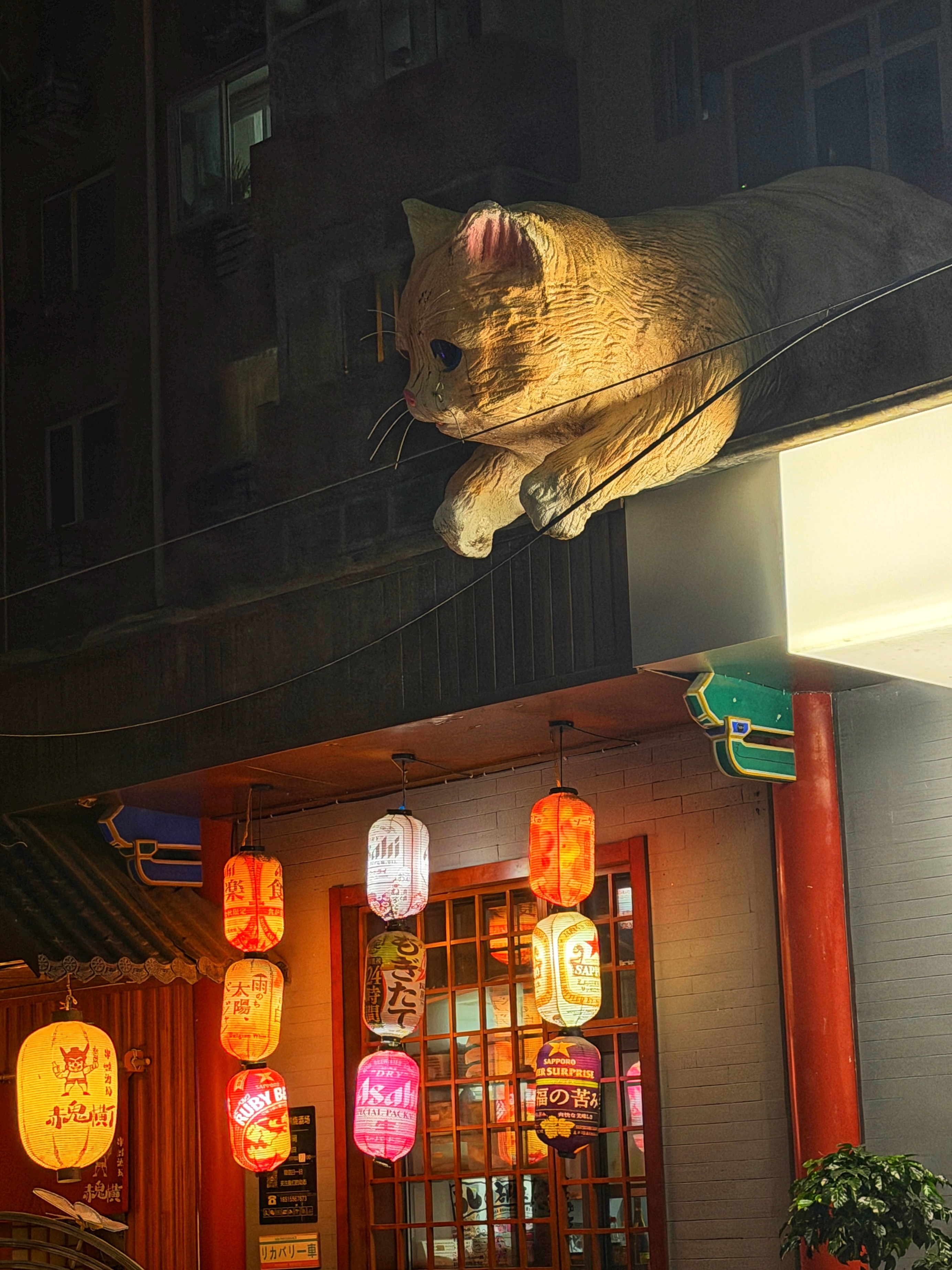 路过一个小酒吧，随意拐了进去，竟然有12桌等位。好久没夜生活了，没想到北京的酒吧